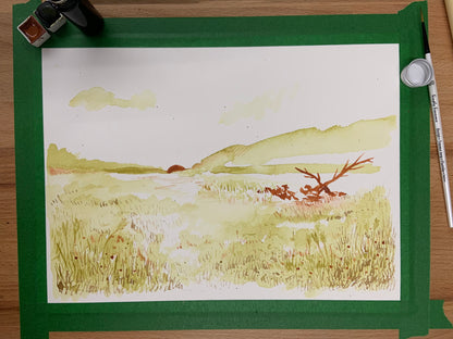 Natural Watercolour Pigment W/ Buckthorn Berries (3-4h)