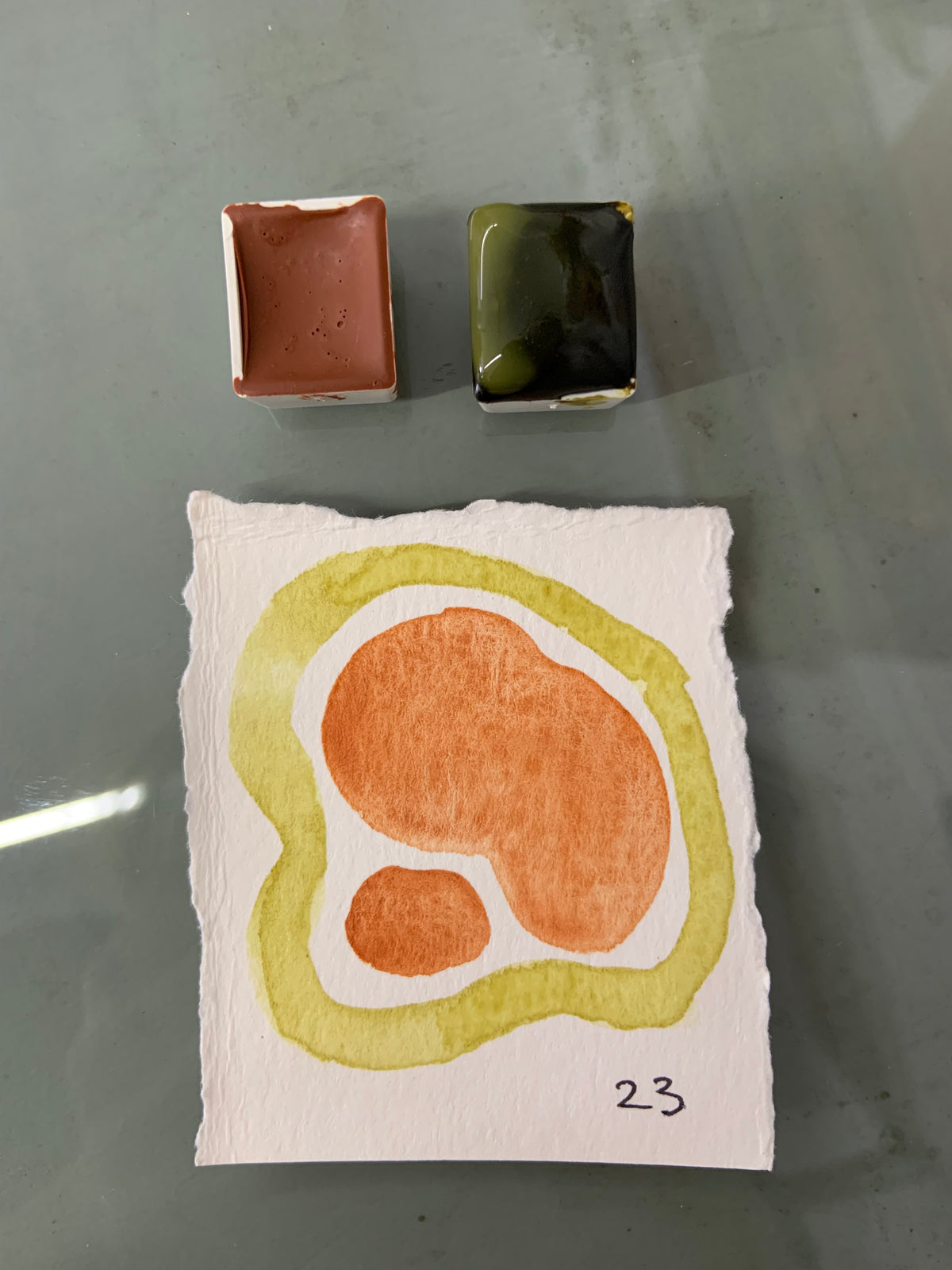 Natural Watercolour Pigment W/ Buckthorn Berries (3-4h)