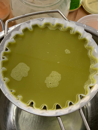 Natural Watercolour Pigment W/ Buckthorn Berries (3-4h)