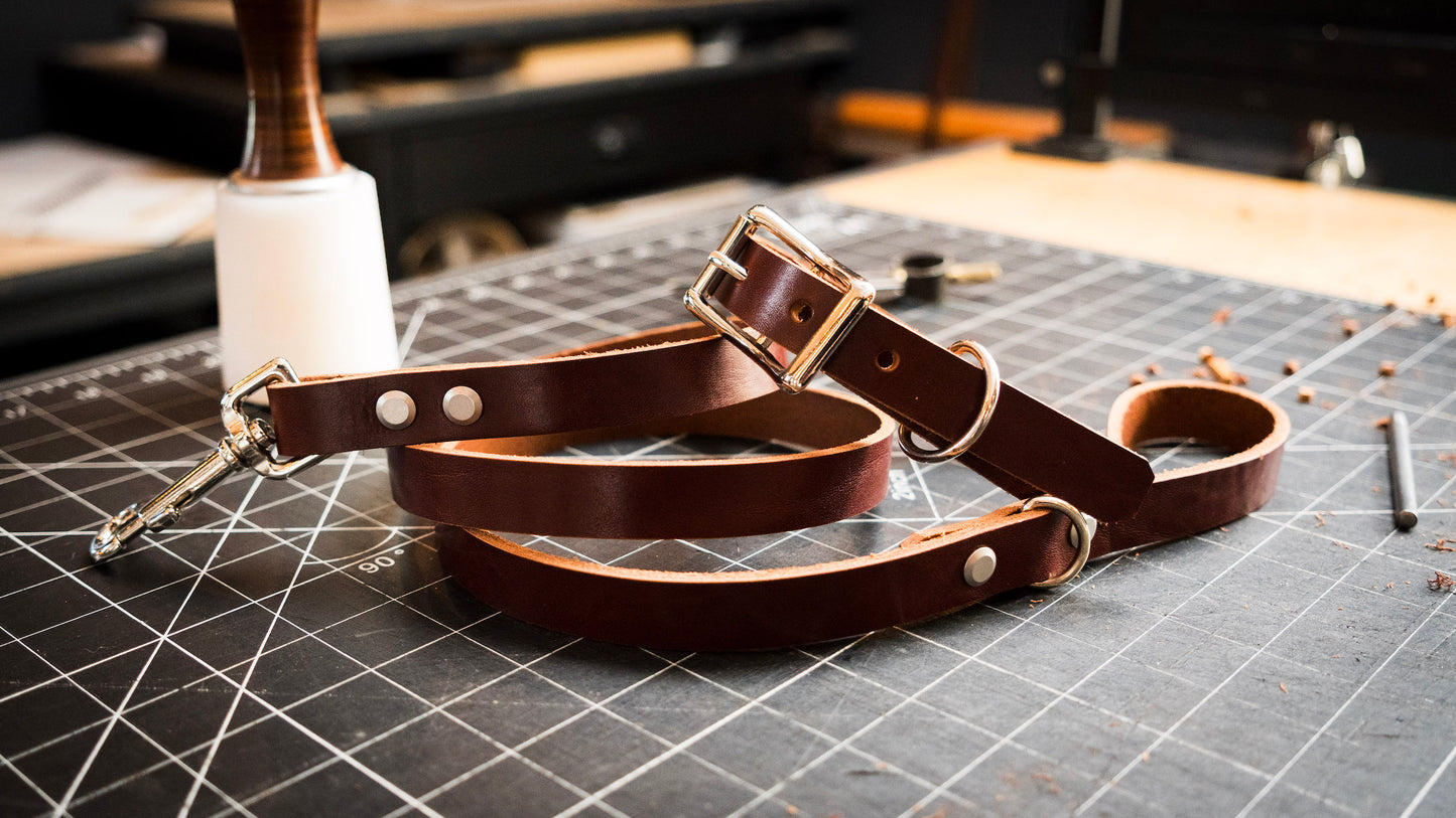 Dog Leash & Collar (2h)