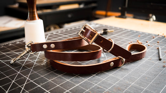 Dog Leash & Collar (2h)