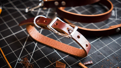 Dog Leash & Collar (2h)