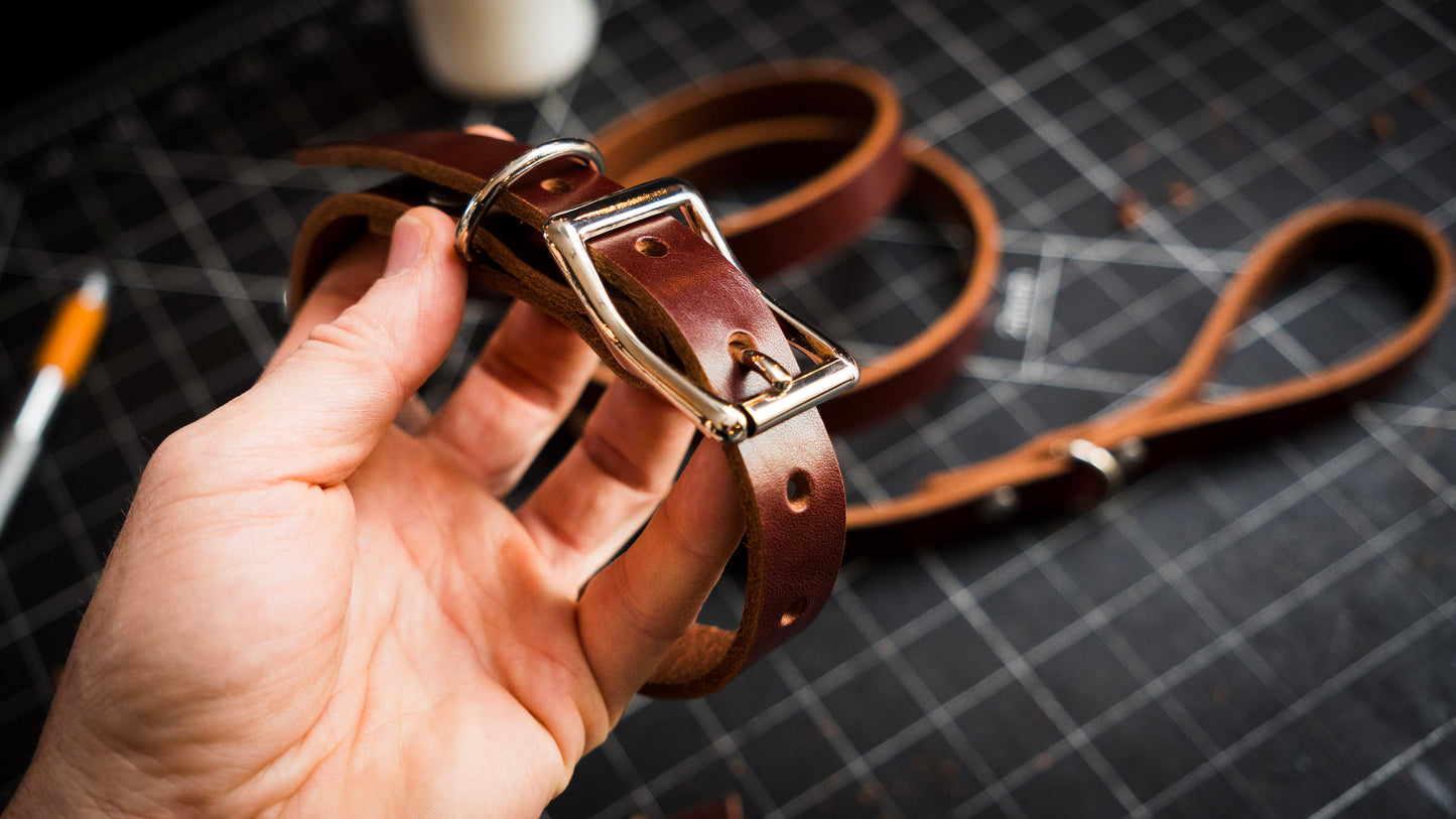 Dog Leash & Collar (2h)
