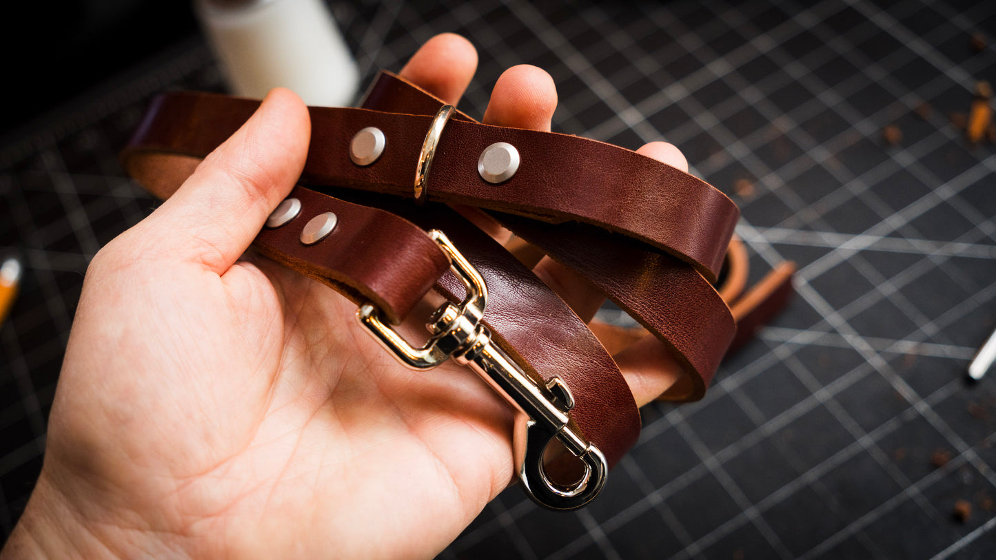 Dog Leash & Collar (2h)