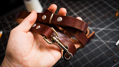 Dog Leash & Collar (2h)