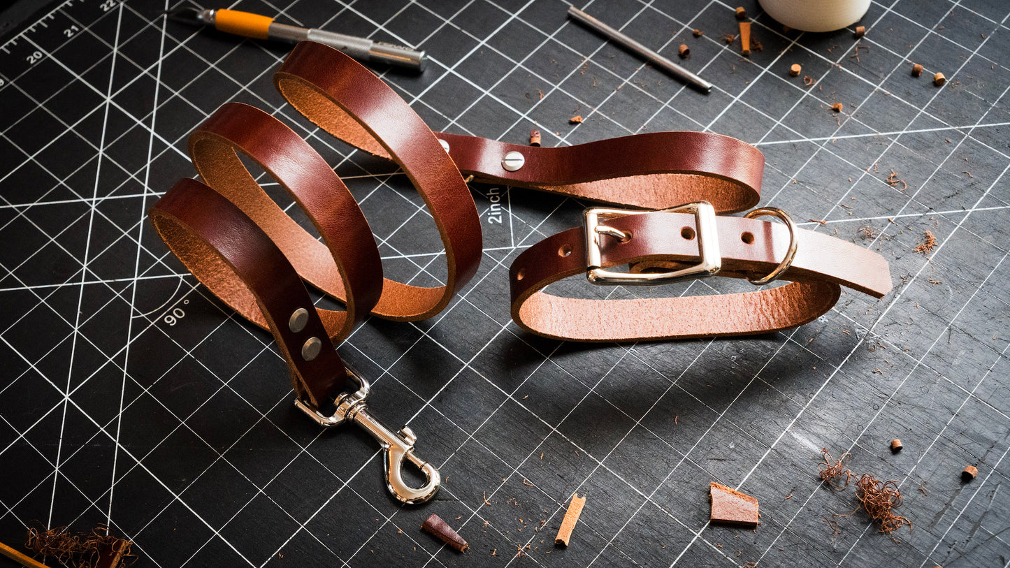 Dog Leash & Collar (2h)