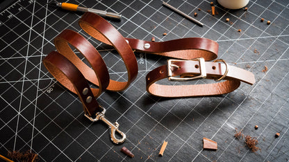 Dog Leash & Collar (2h)