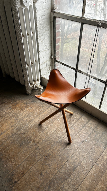 Leather Stool (5h)